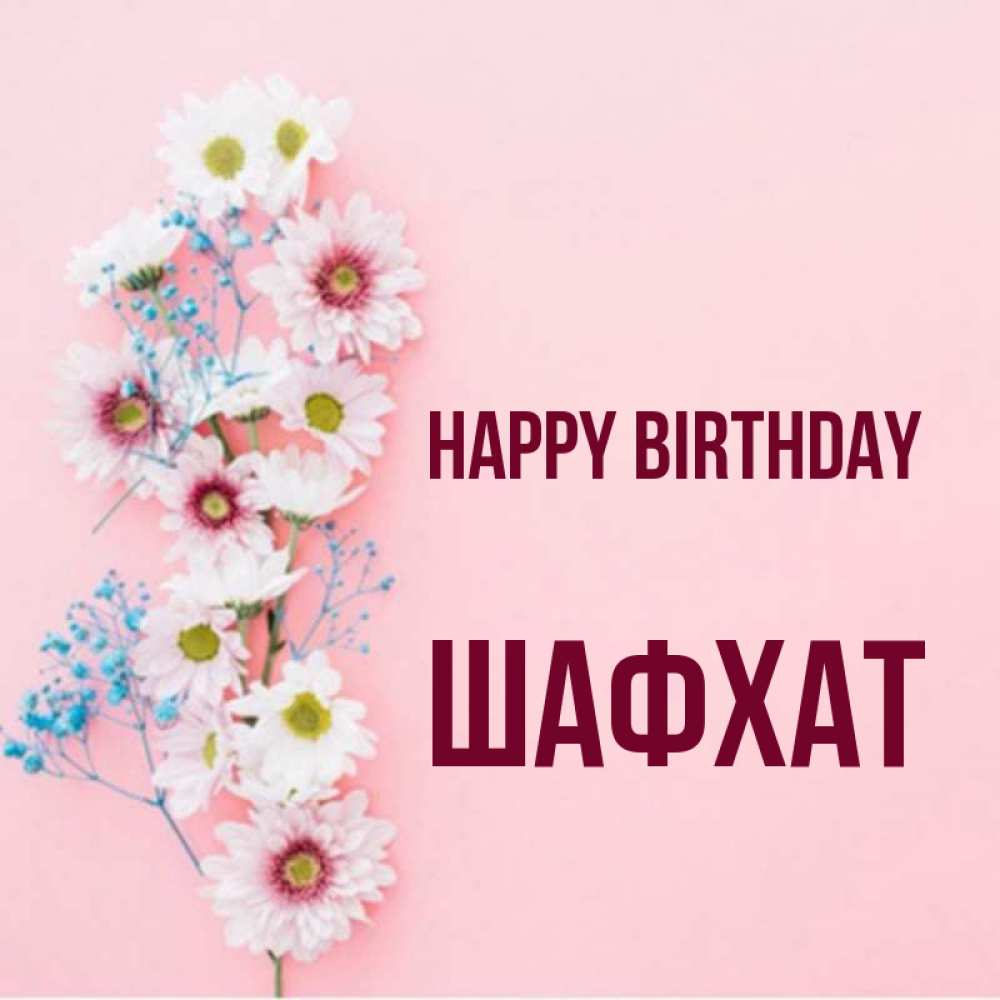 Greetings card с именем, ШАФХАТ Happy Birthday Родная моя с днем рождения тебя картинка с цветами белыми и голубыми Greetings with text for free download 