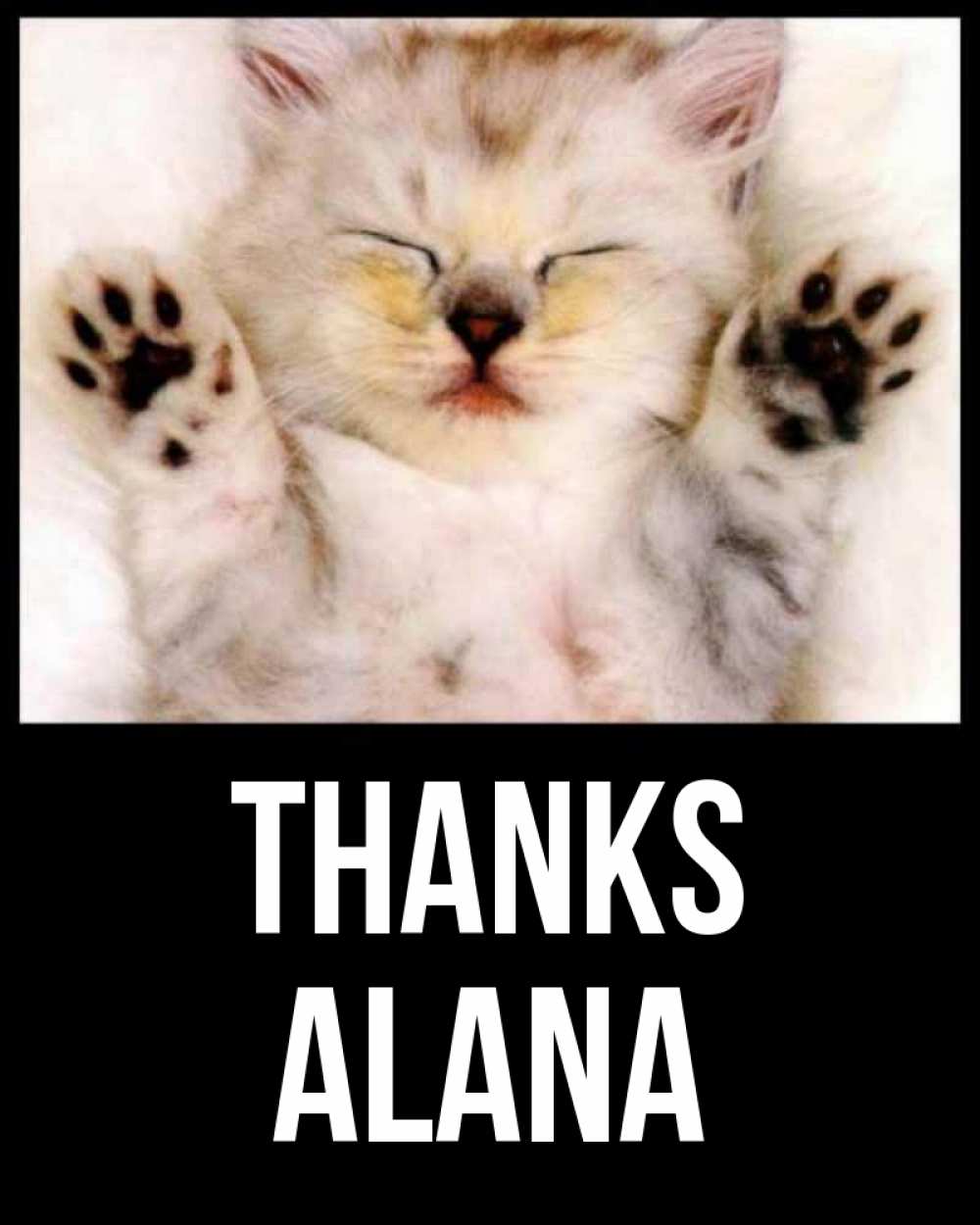 Greetings card с именем, Alana Thanks маленький котенок Greetings with text for free download 