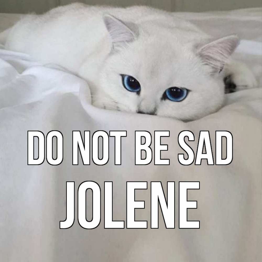 Greetings card с именем, Jolene Do not be sad белый кот с голубыми глазами на белоснежной кровати Greetings with text for free download 