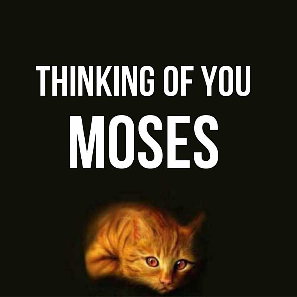 Greetings card с именем, Moses Thinking of you рыжий Greetings with text for free download 