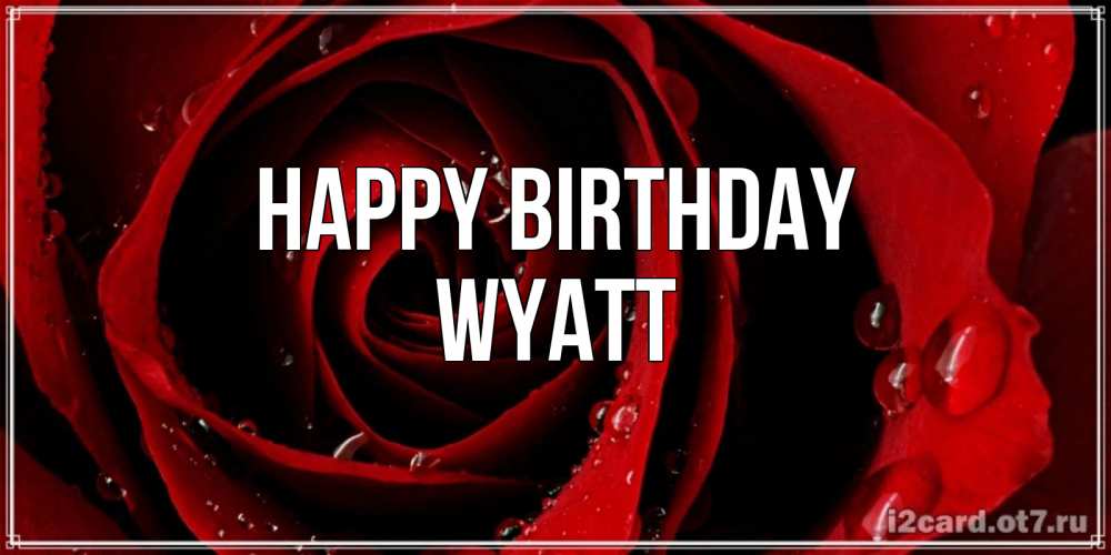 Greetings card с именем, Wyatt Happy Birthday крупная бордовая роза Greetings with text for free download 