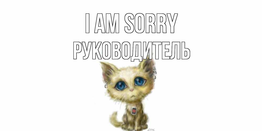 Greetings card с именем, Руководитель I am sorry прости меня открытка с котиком Greetings with text for free download 