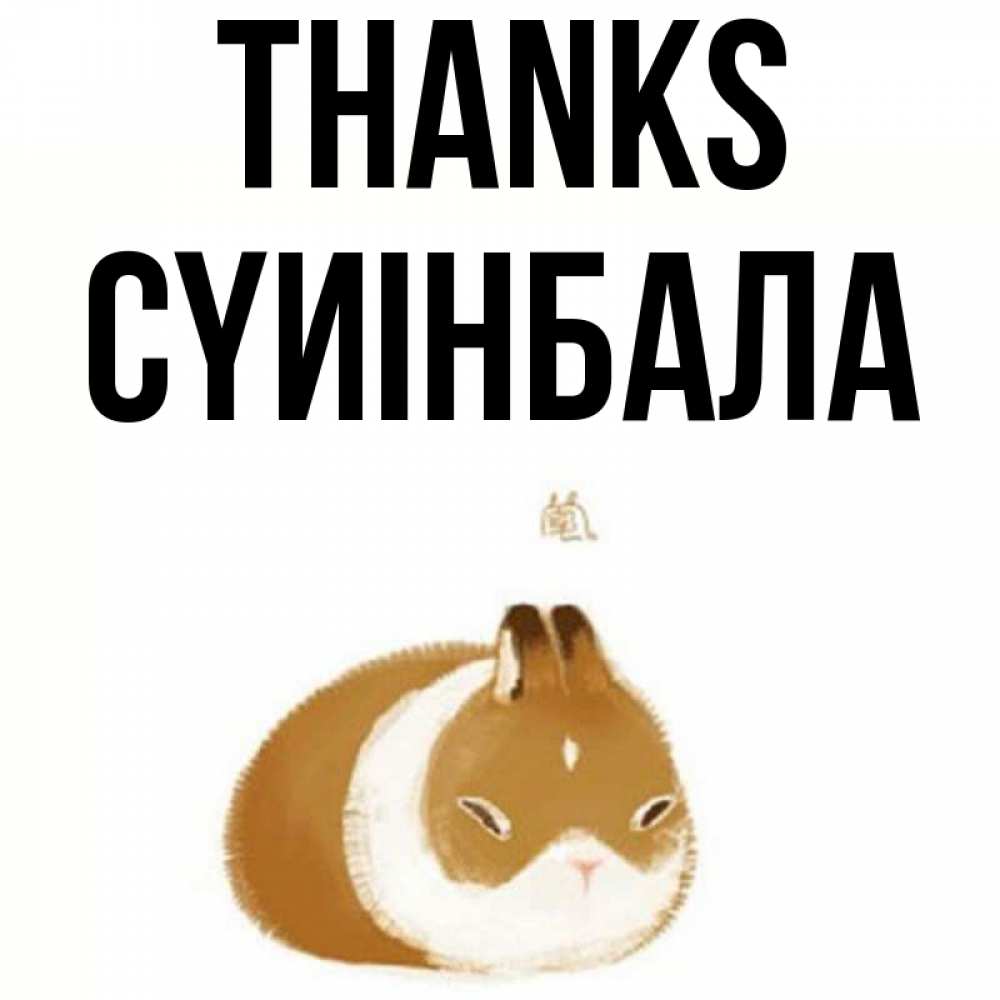 Greetings card с именем, СҮИІНБАЛА Thanks коричнево белый домашний питомец Greetings with text for free download 