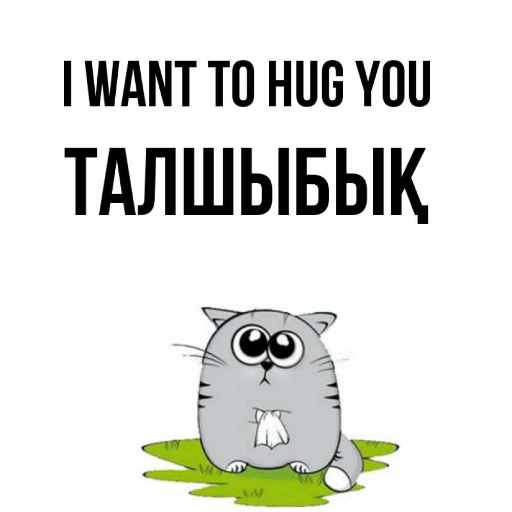 Greetings card с именем, ТАЛШЫБЫҚ I want to hug you котик теребит платочек сидя на травке Greetings with text for free download 