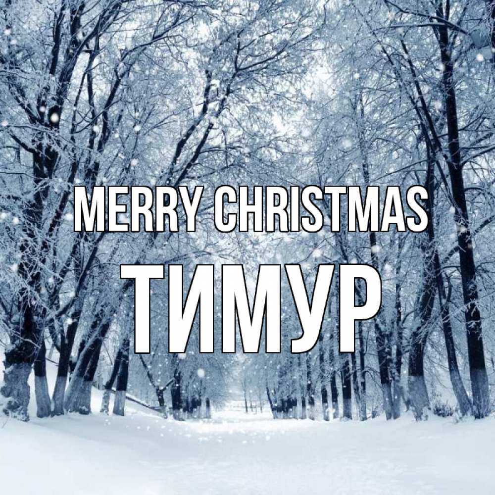 Greetings card с именем, Тимур Merry Christmas снег, лес, парк Greetings with text for free download 