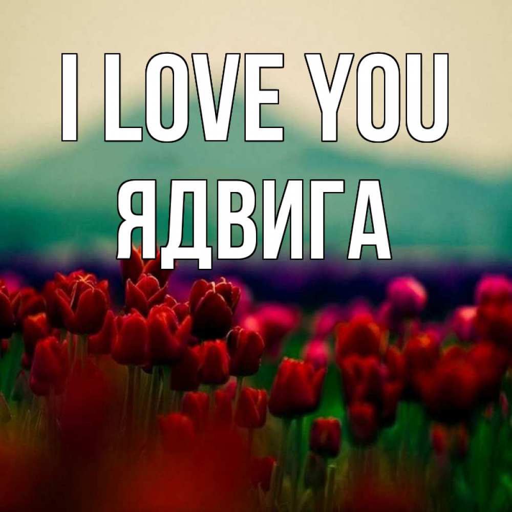 Greetings card с именем, Ядвига I love you тюльпаны 4 Greetings with text for free download 