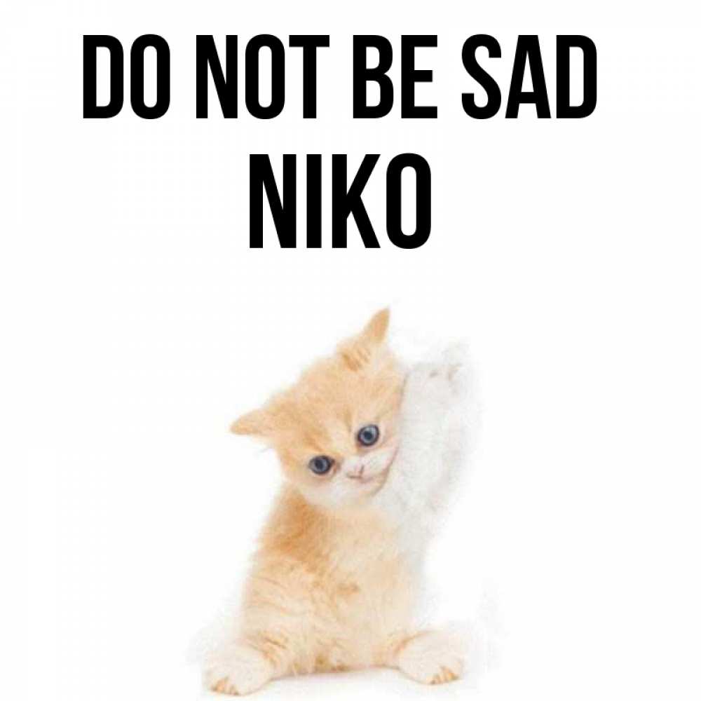 Greetings card с именем, Niko Do not be sad просящий кот Greetings with text for free download 