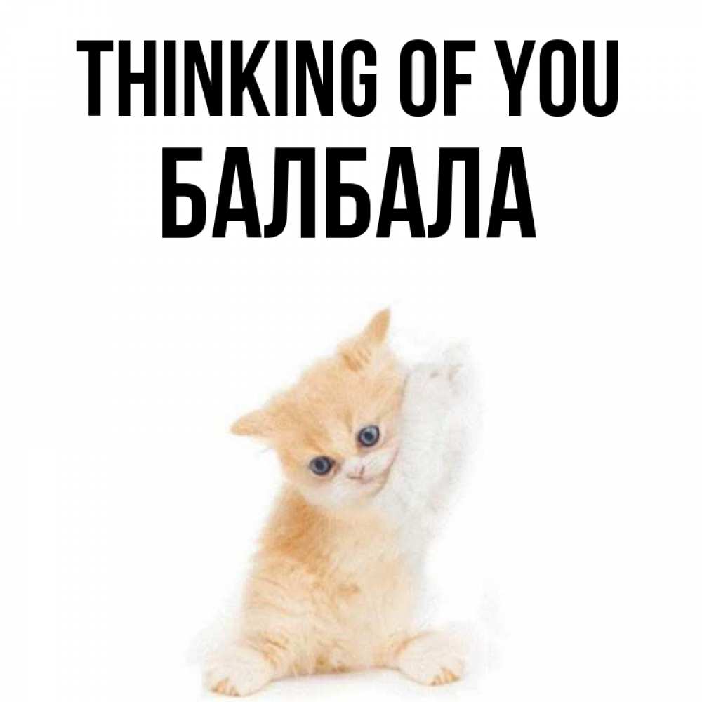 Greetings card с именем, БАЛБАЛА Thinking of you зверушки и милота Greetings with text for free download 