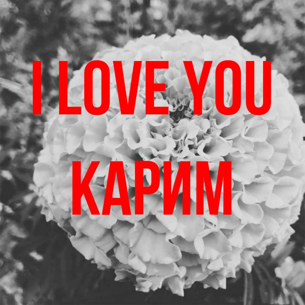 Greetings card с именем, Карим I love you подпись Greetings with text for free download 