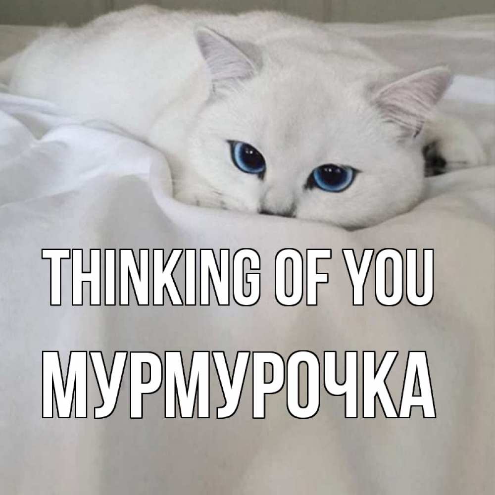 Greetings card с именем, Мурмурочка Thinking of you я очень по тебе скучаю и тоскую Greetings with text for free download 