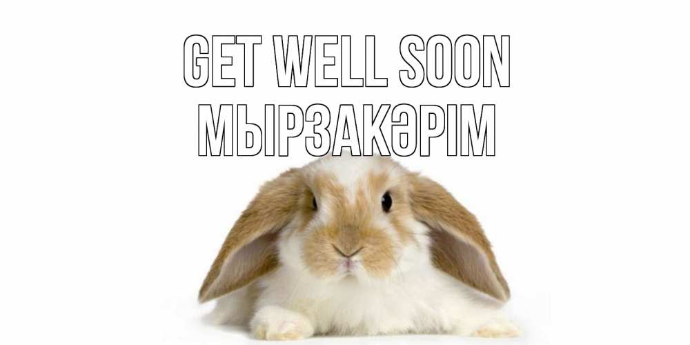 Greetings card с именем, Мырзакәрім Get well soon вислоухий кролик белого и коричневого цвета Greetings with text for free download 