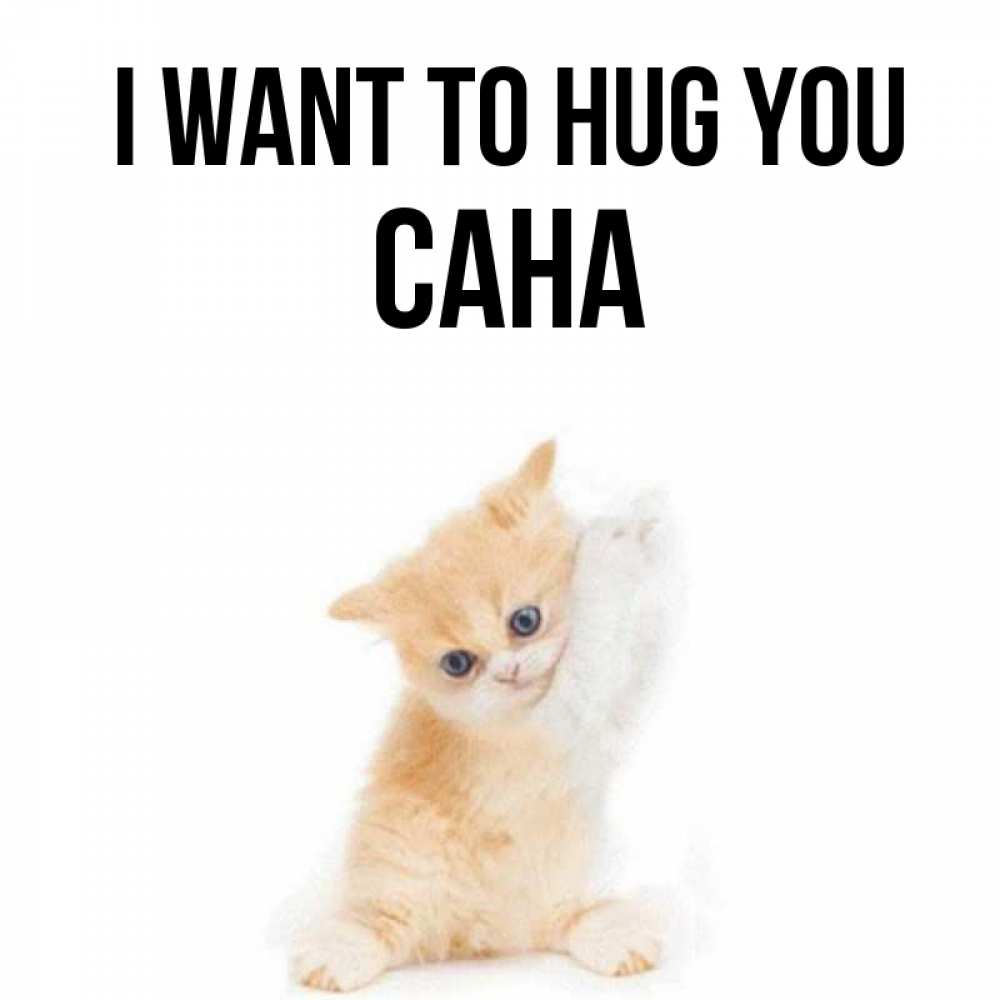 Greetings card с именем, САНА I want to hug you я хочу очень скорее обнимаешек Greetings with text for free download 