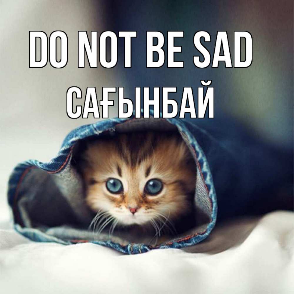 Greetings card с именем, Сағынбай Do not be sad рыжик котик Greetings with text for free download 