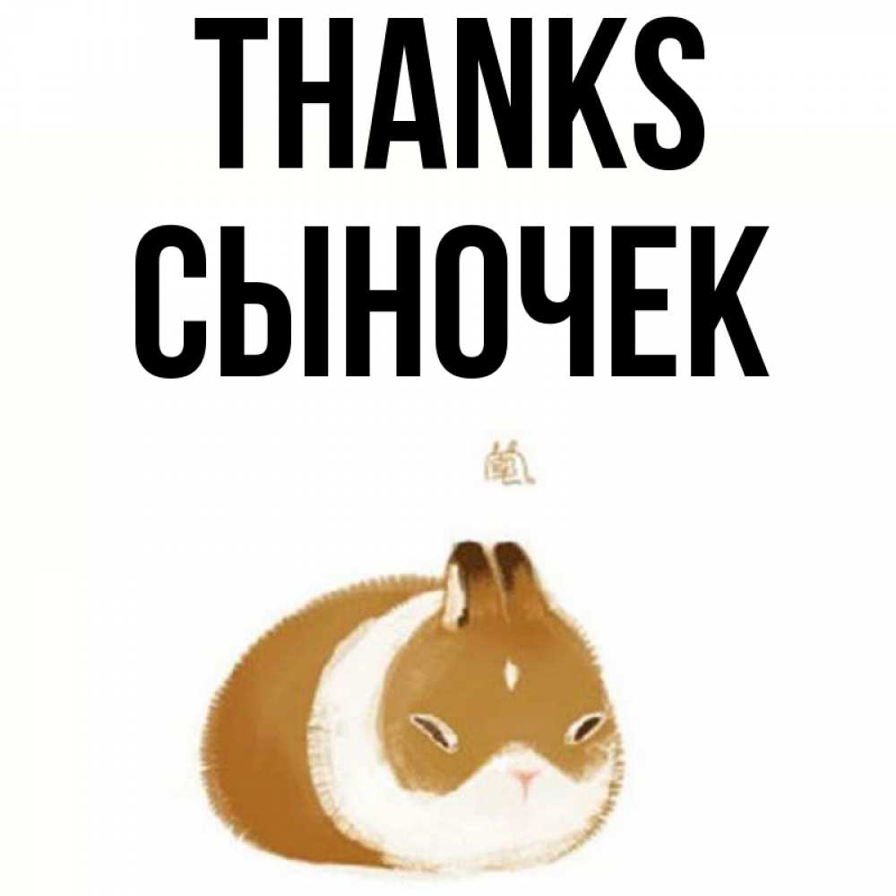 Greetings card с именем, Сыночек Thanks коричнево белый домашний питомец Greetings with text for free download 