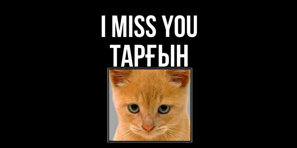 Greetings card с именем, ТАРҒЫН I miss you открытки рыжий котенок скучает по тебе Greetings with text for free download 