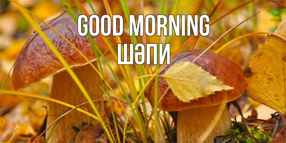 Greetings card с именем, ШӘПИ Good morning осенние грибы Greetings with text for free download 