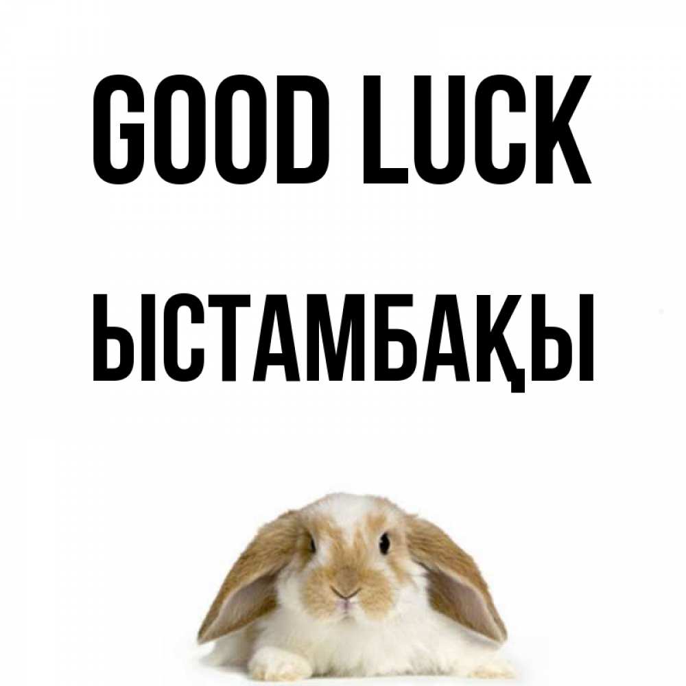Greetings card с именем, ЫСТАМБАҚЫ Good luck открытки с произвольным текстом который можно вставить в открытку и создать ее самостоятельно бесплатно онлайн Greetings with text for free download 