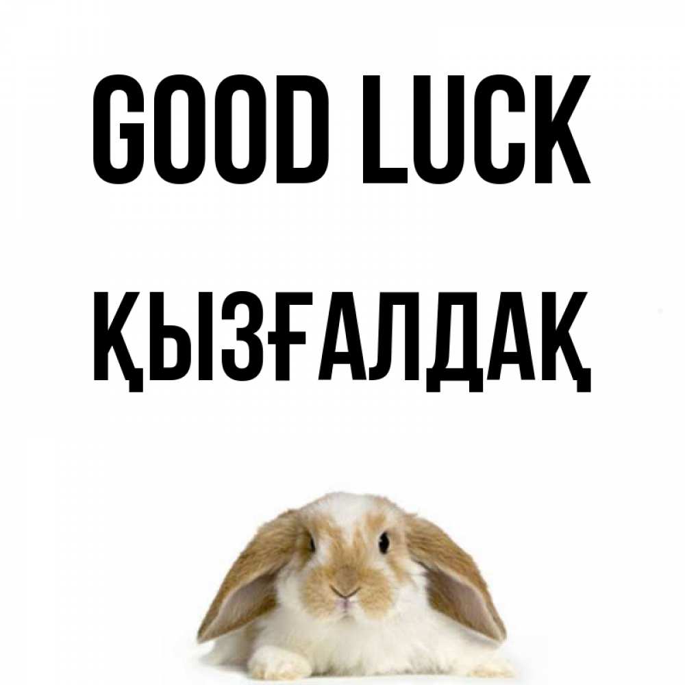 Greetings card с именем, ҚЫЗҒАЛДАҚ Good luck открытки с произвольным текстом который можно вставить в открытку и создать ее самостоятельно бесплатно онлайн Greetings with text for free download 