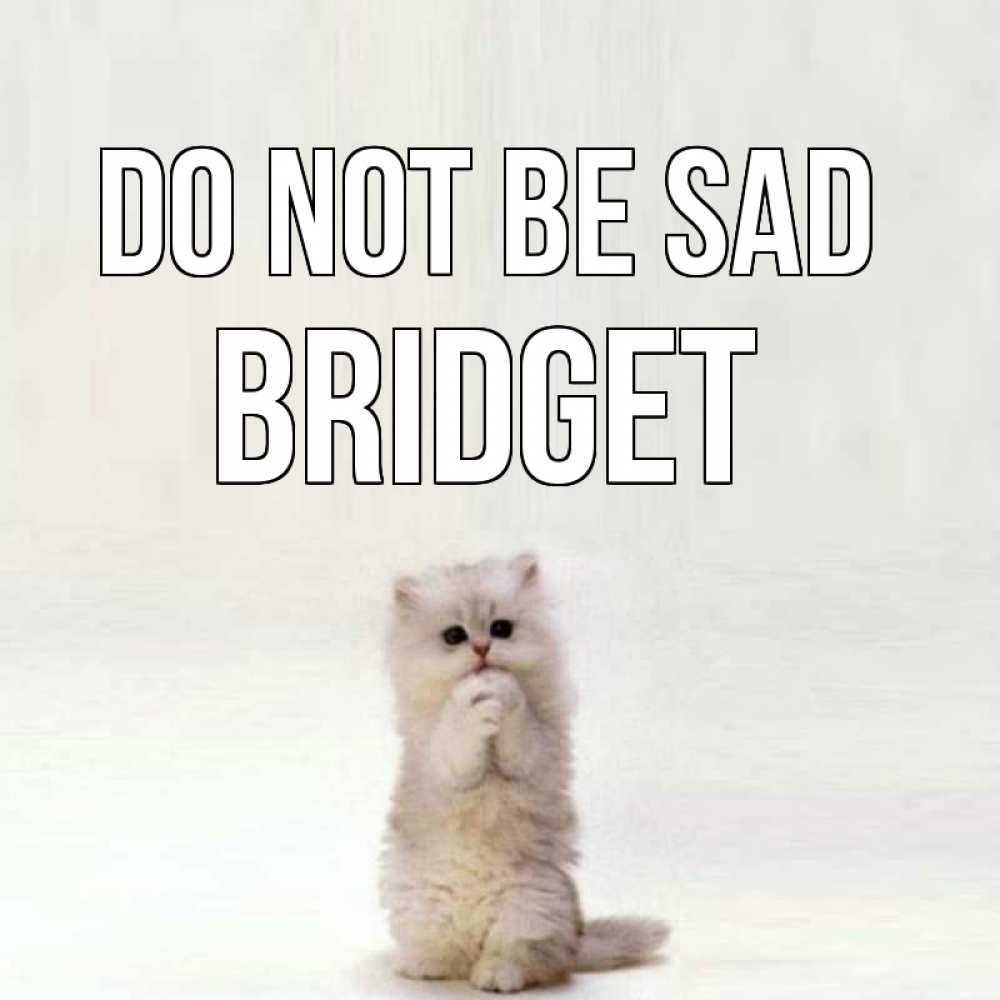 Greetings card с именем, Bridget Do not be sad грустный кот Greetings with text for free download 
