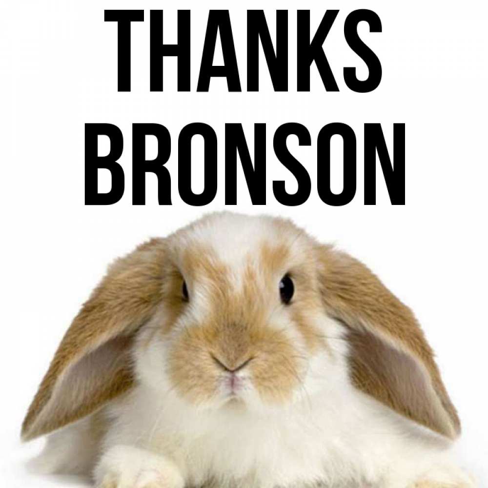 Greetings card с именем, Bronson Thanks коричнево белый заяц Greetings with text for free download 
