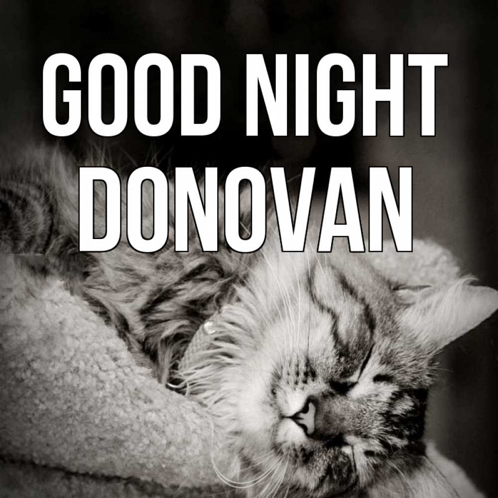 Greetings card с именем, Donovan Good night котярик пушистый Greetings with text for free download 