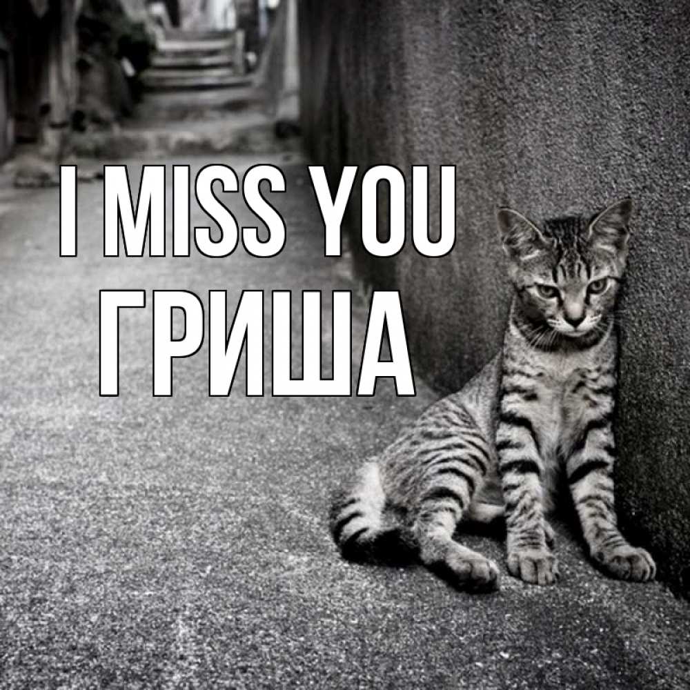 Greetings card с именем, Гриша I miss you одиноко котику Greetings with text for free download 