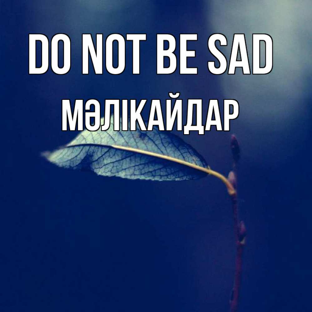 Greetings card с именем, МӘЛІКАЙДАР Do not be sad растение Greetings with text for free download 