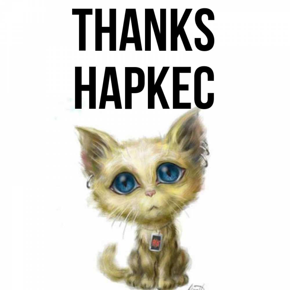 Greetings card с именем, НАРКЕС Thanks рисованный кот благодарит вас Greetings with text for free download 