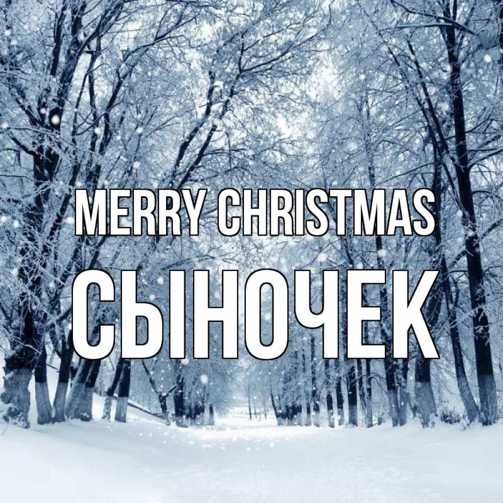 Greetings card с именем, Сыночек Merry Christmas снег, лес, парк Greetings with text for free download 