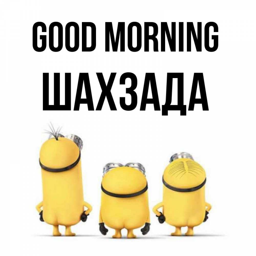 Greetings card с именем, ШАХЗАДА Good morning подписать открытку онлайн бесплатно Greetings with text for free download 