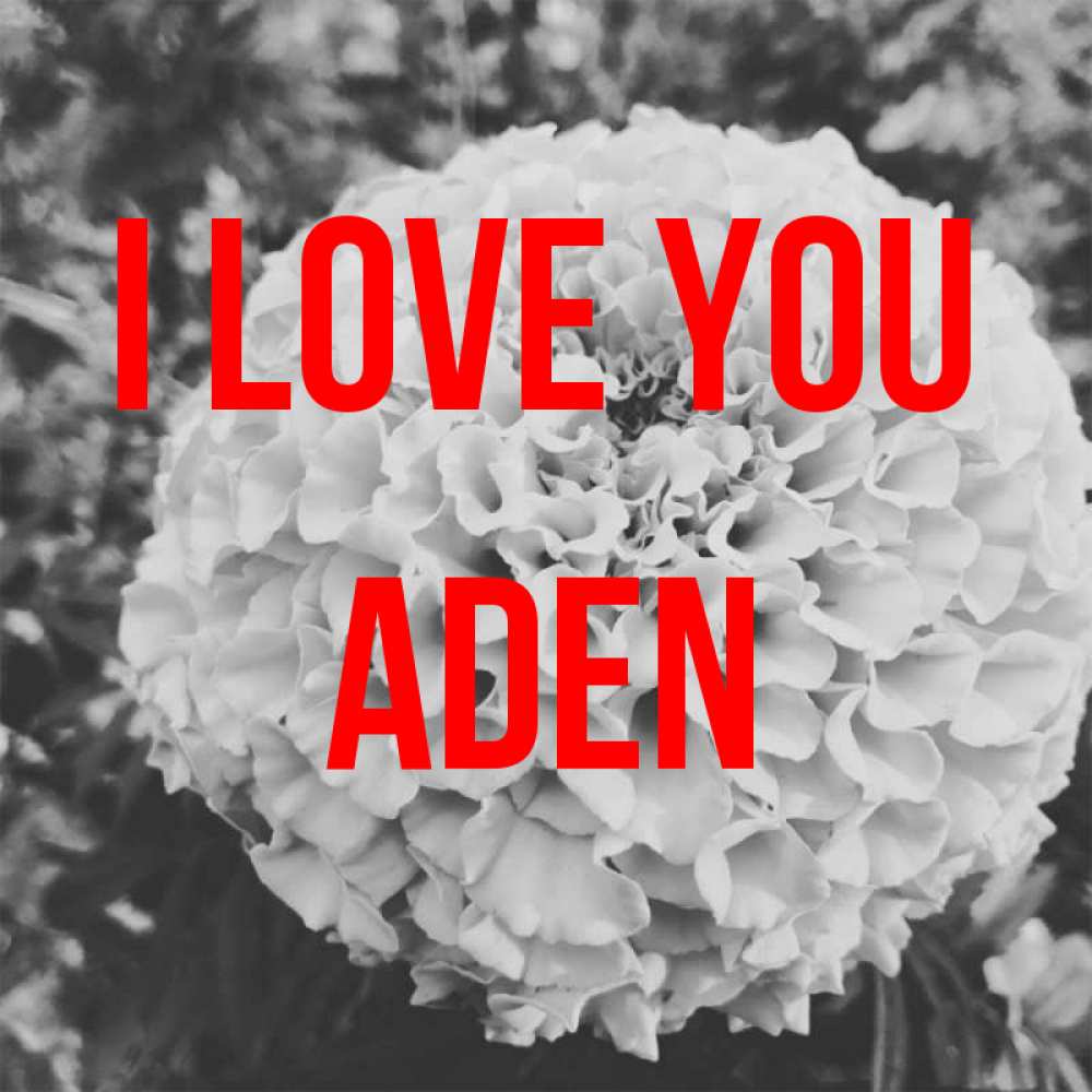 Greetings card с именем, Aden I love you подпись Greetings with text for free download 