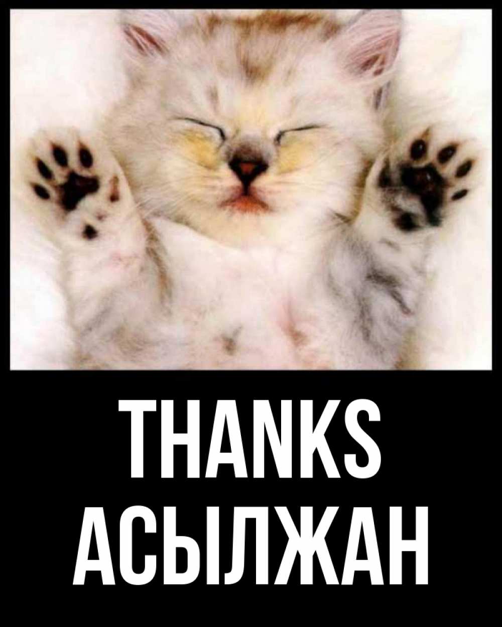 Greetings card с именем, Асылжан Thanks маленький котенок Greetings with text for free download 