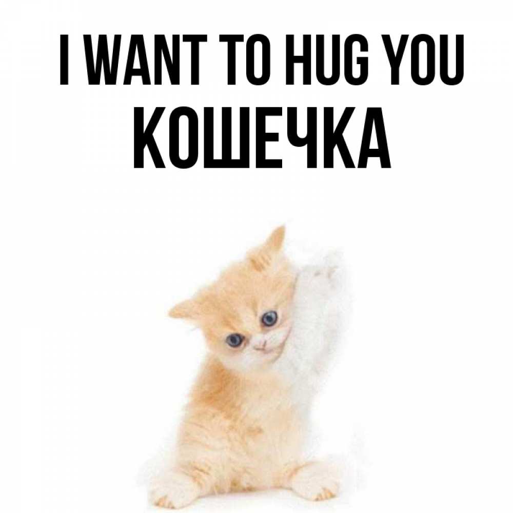Greetings card с именем, Кошечка I want to hug you я хочу очень скорее обнимаешек Greetings with text for free download 