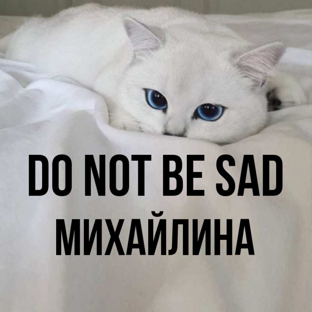 Greetings card с именем, Михайлина Do not be sad Голубоглазая кошка Greetings with text for free download 