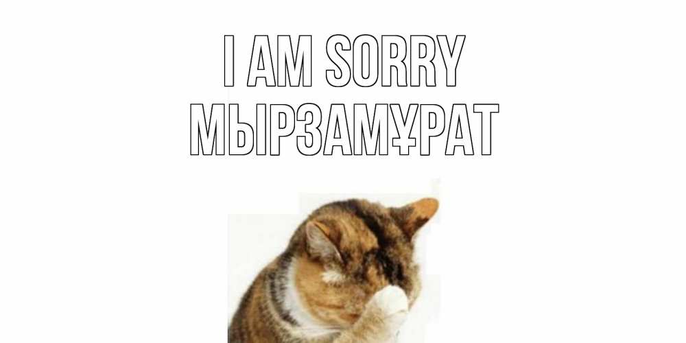 Greetings card с именем, Мырзамұрат I am sorry кот Greetings with text for free download 