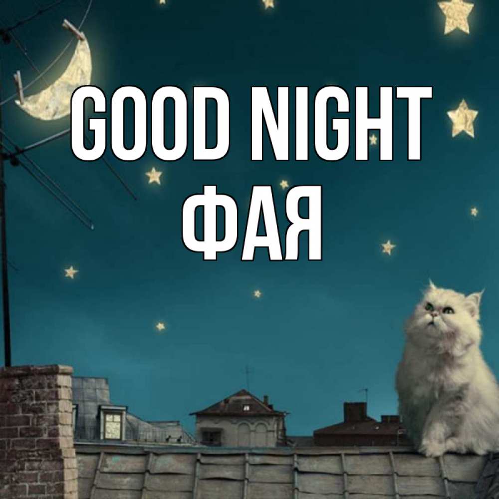 Greetings card с именем, Фая Good night белый кот сидит на крыше Greetings with text for free download 