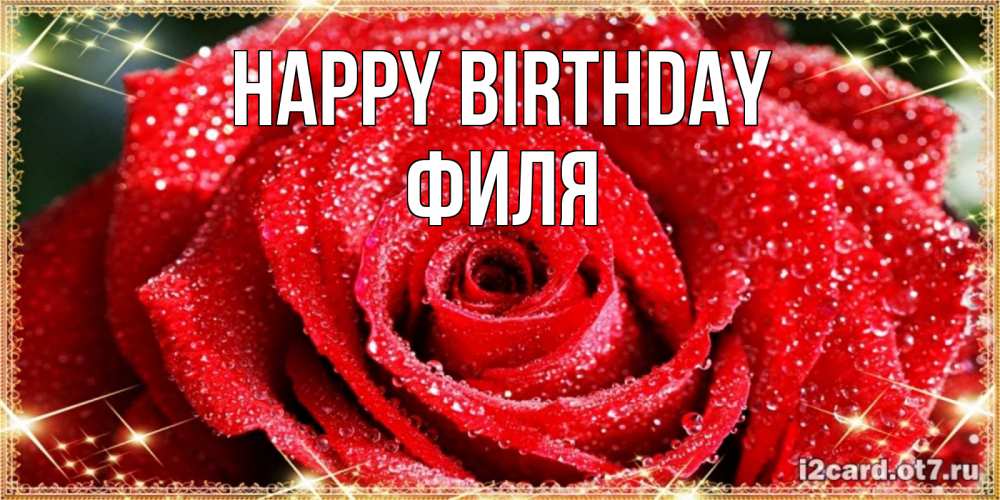 Greetings card с именем, Филя Happy Birthday роса и роза. открытка с красивой розой Greetings with text for free download 
