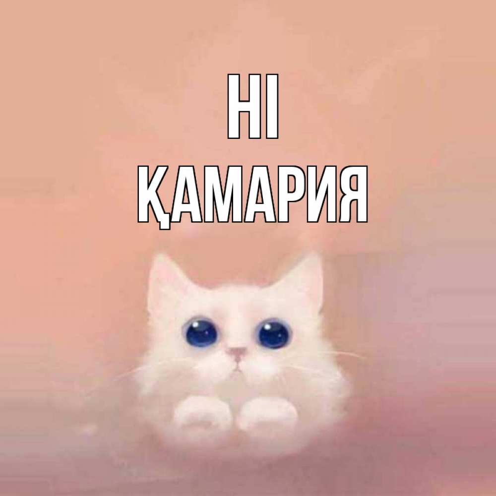 Greetings card с именем, ҚАМАРИЯ Hi котик белый в полете Greetings with text for free download 