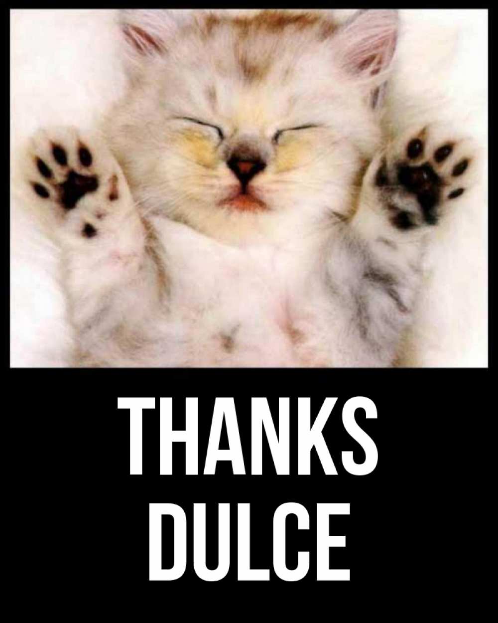 Greetings card с именем, Dulce Thanks маленький котенок Greetings with text for free download 