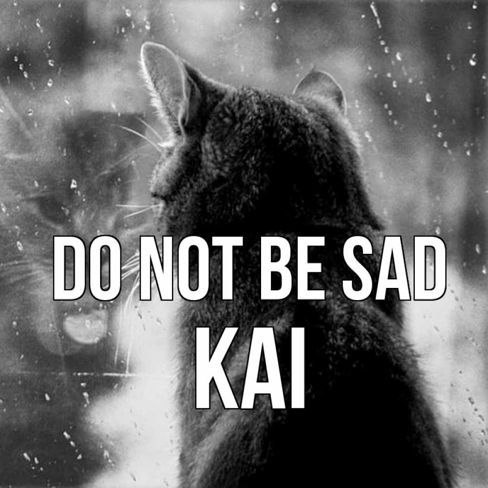 Greetings card с именем, Kai Do not be sad отражение кота 1 Greetings with text for free download 