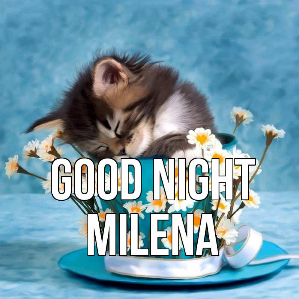 Greetings card с именем, Milena Good night котенок спит в кружке с блюдцем Greetings with text for free download 