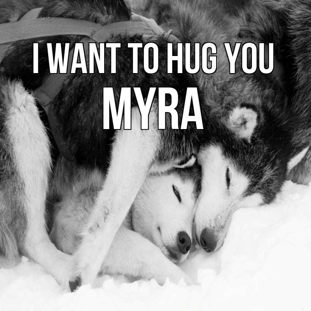 Greetings card с именем, Myra I want to hug you собачки в упряжке Greetings with text for free download 