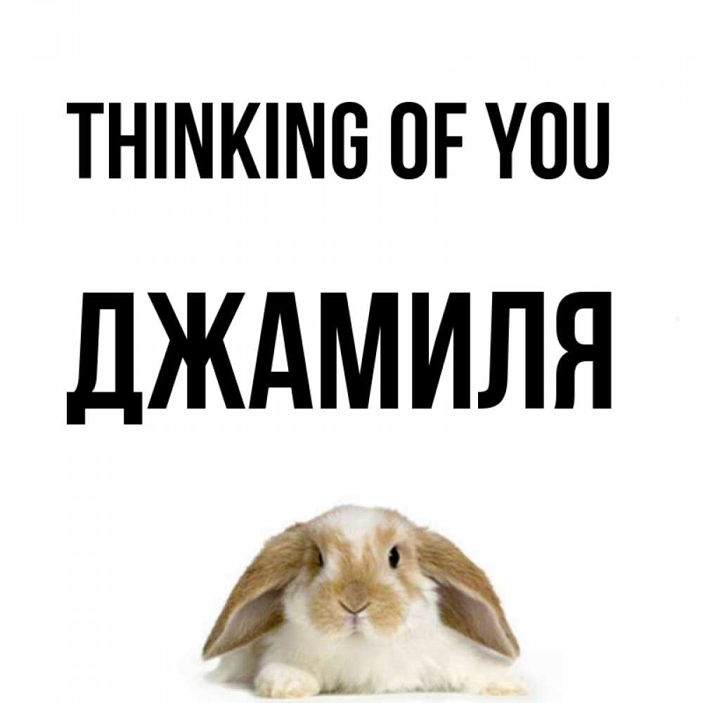 Greetings card с именем, Джамиля Thinking of you подписать своими руками онлайн Greetings with text for free download 