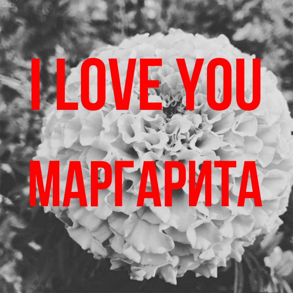 Greetings card с именем, Маргарита I love you подпись Greetings with text for free download 