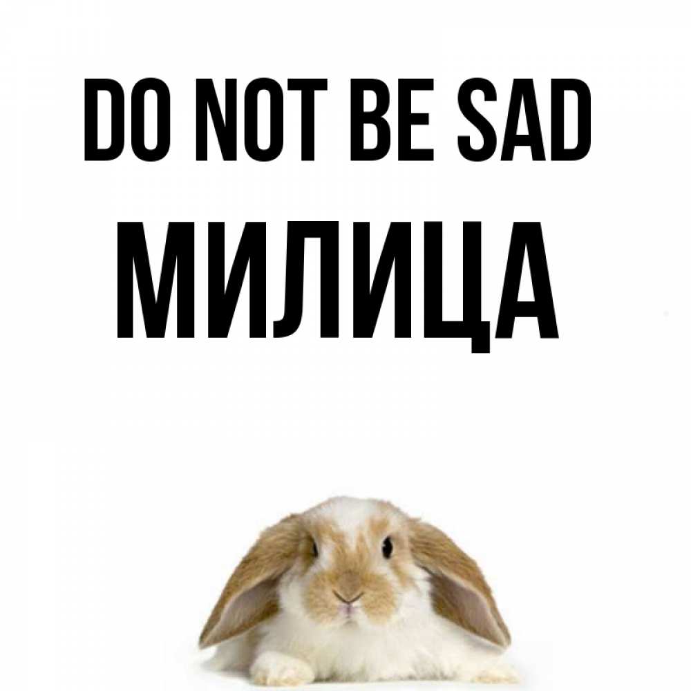 Greetings card с именем, Милица Do not be sad коричнево белый заяц с большими ушками Greetings with text for free download 