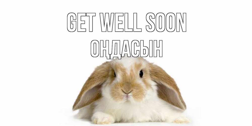 Greetings card с именем, ОҢДАСЫН Get well soon вислоухий кролик белого и коричневого цвета Greetings with text for free download 