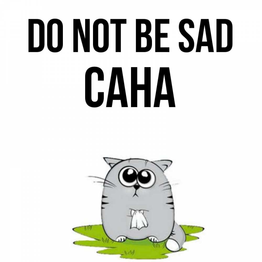 Greetings card с именем, САНА Do not be sad грустный котяра Greetings with text for free download 