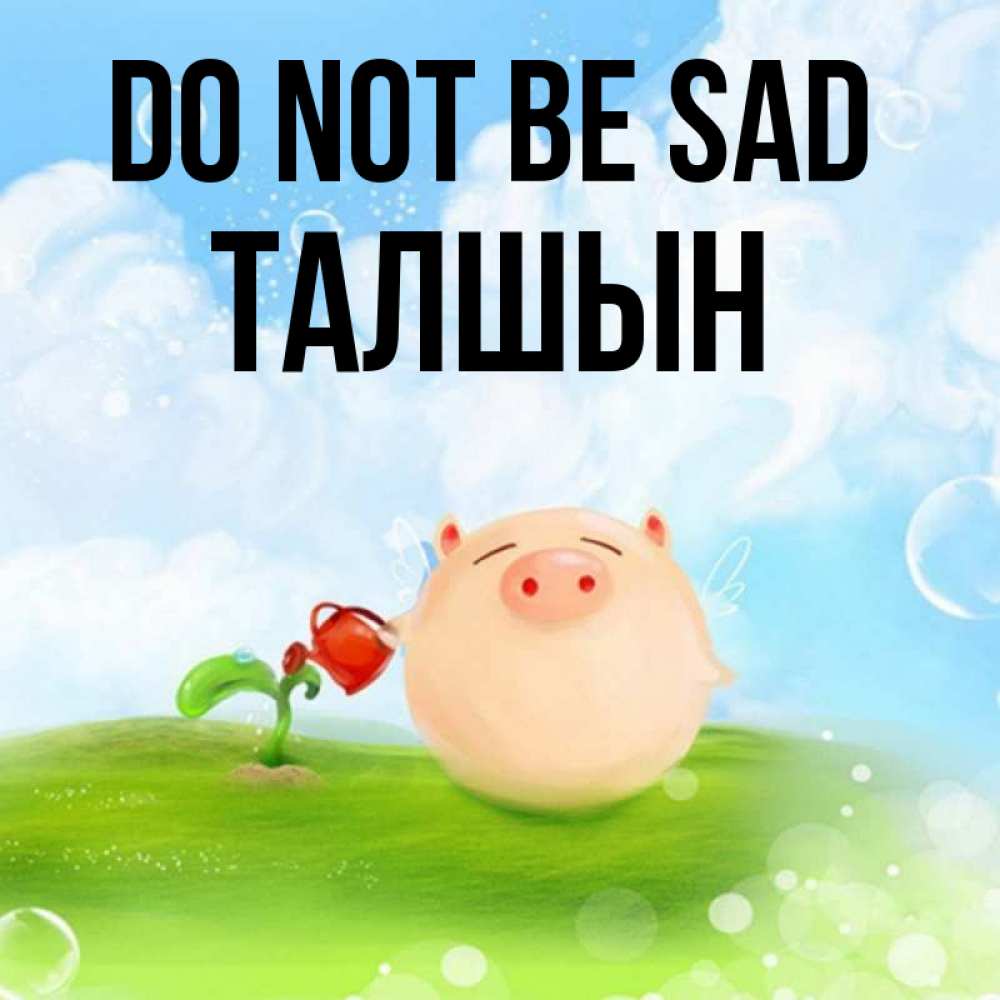 Greetings card с именем, ТАЛШЫН Do not be sad поливает цветок порося Greetings with text for free download 