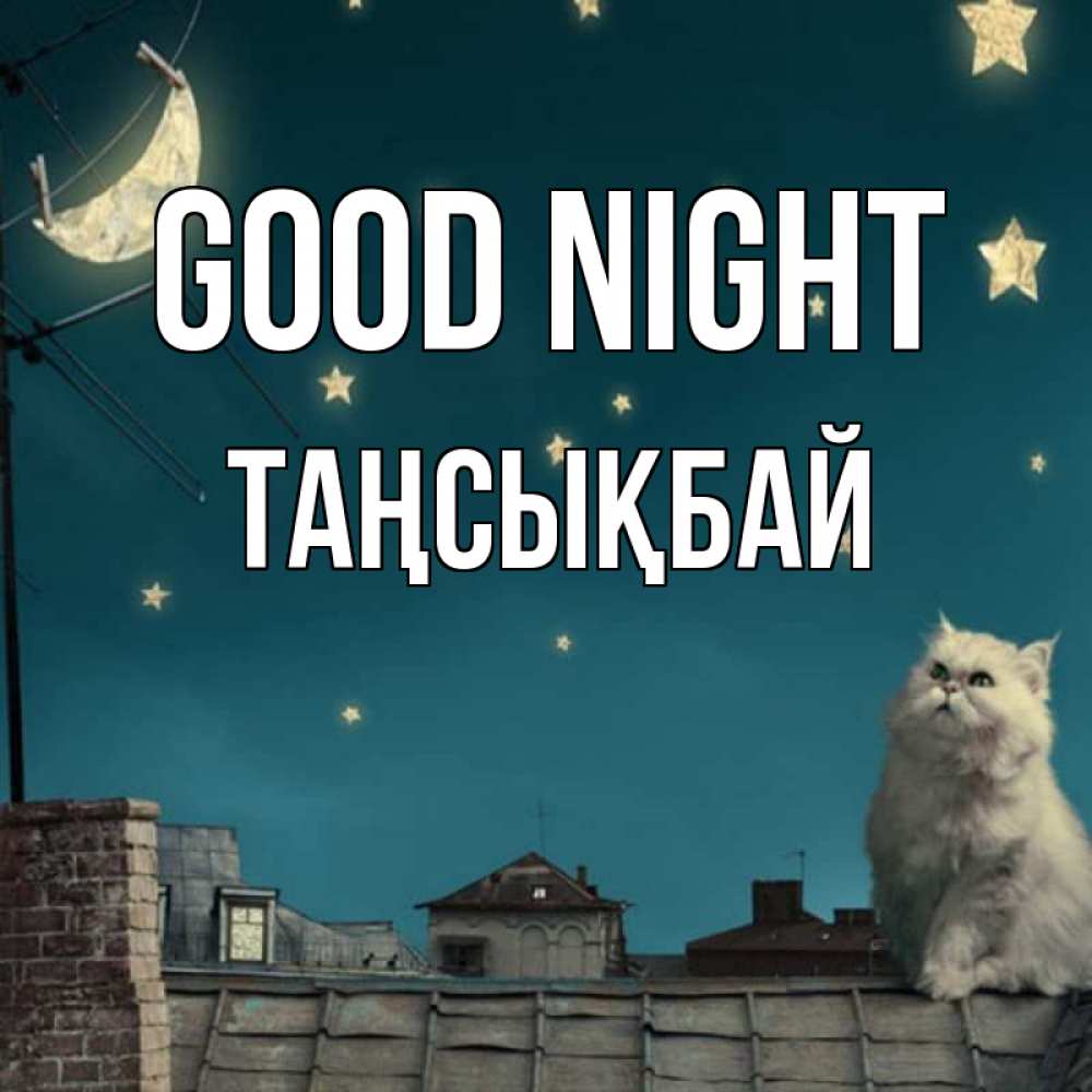 Greetings card с именем, ТАҢСЫҚБАЙ Good night белый кот сидит на крыше Greetings with text for free download 