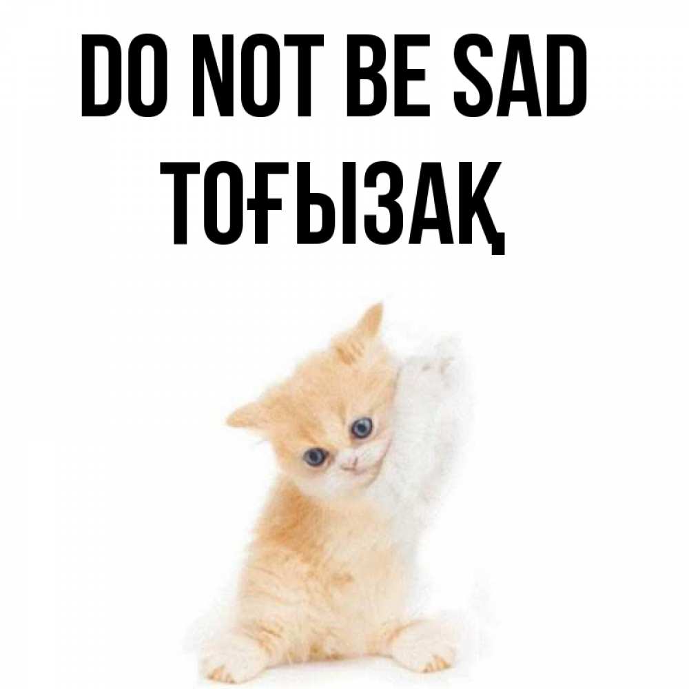 Greetings card с именем, ТОҒЫЗАҚ Do not be sad просящий кот Greetings with text for free download 